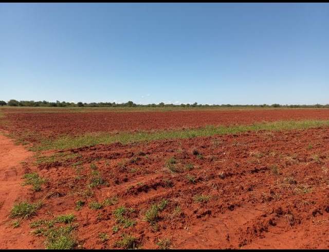 FARM FOR SALE IN WATERPOORT